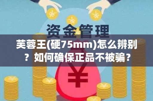 芙蓉王(硬75mm)怎么辨别？如何确保正品不被骗？